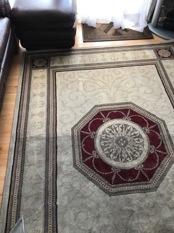 a rug being cleaned at a customer home in tempe az