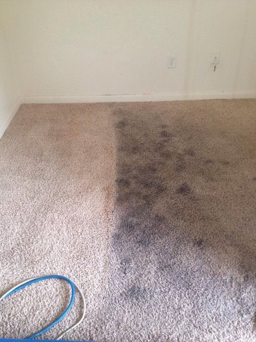 a tempe residential carpet cleaning job